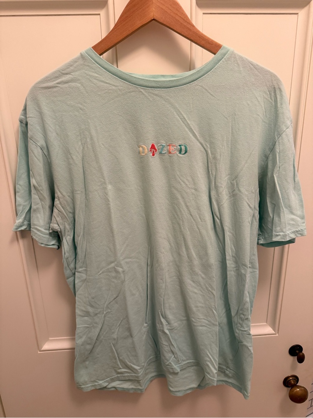 PacSun Light Mint 'DAZED' Embroidered Short Sleeve Tee